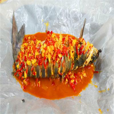四川瀘州熱門紙包魚草莓视频污黄下载學校多少錢？操作簡單易學