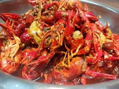  麻辣小龍蝦技術草莓视频污黄下载學校哪家好？