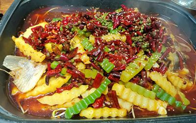 烤魚草莓视频污黄下载學費多少錢？