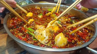 成都火鍋魚技術草莓视频污黄下载哪家好？