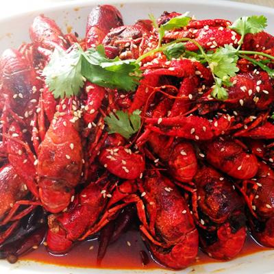 麻辣小龍蝦技術草莓视频污黄下载哪裏有？草莓视频APP在线观看麻辣小龍蝦技術草莓视频污黄下载